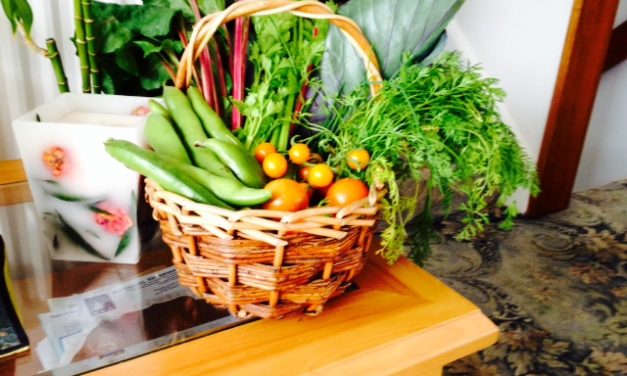 Souvenir Sayuran? Pernikahan Yang Kini Menjadi Tren Viral