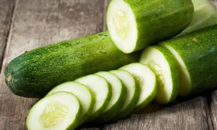Segar Tapi Berisiko, Ini Fakta Tentang Konsumsi Mentimun