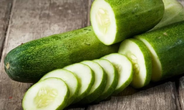 Segar Tapi Berisiko, Ini Fakta Tentang Konsumsi Mentimun
