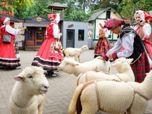 Serasa Di Swiss! Pesona Farmhouse Lembang Yang Bikin Takjub