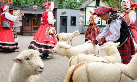 Serasa Di Swiss! Pesona Farmhouse Lembang Yang Bikin Takjub