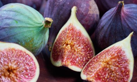 Jangan Berlebihan! Buah Ara Kering Mengandung Gula Tinggi